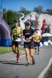 BIB: 
                            <button type="button" onclick="openModal(26542909)" class="btn btn-primary btn-sm float-right btn-popup" data-toggle="modal" data-target=".modal-high-quality">
                        <i class="fas fa-shopping-cart"></i> Add to Cart
                    </button>
                                            <button type="button" onclick="isThisMe(26542909, true)" class="btn btn-success btn-sm float-right btn-popup btn-isme hidden" data-toggle="tooltip" data-placement="bottom" title="นี่คือรูปของคุณใช่ไหม คลิกที่นี่เพื่อเอาเข้าอัลบั้ม">
                        <i class="fas fa-plus"></i> Add to album
                    </button>
                    <button type="button" onclick="isThisMe(26542909, false)" class="btn btn-warning btn-sm float-right btn-popup btn-isnotme hidden">
                        <i class="fas fa-ban"></i> Remove from album
                    </button>